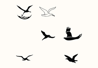 Fototapeta na wymiar Albatross logo and icon design illustration
