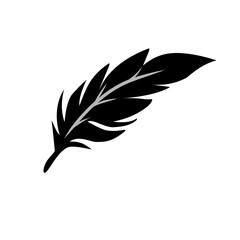 feather vector icon