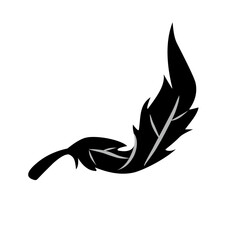 feather vector icon