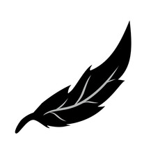 feather vector icon