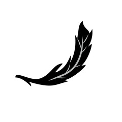feather vector icon