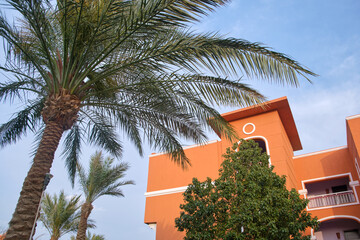 Fototapeta na wymiar Fragment of red brick resort hotel exterior with palm trees under blue summer sky