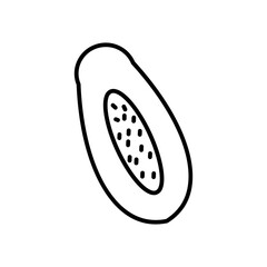 papaya line icon