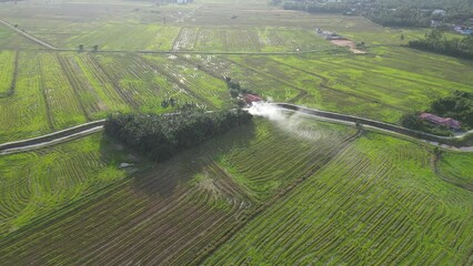 Aerial open burning near the paddy field in misty day