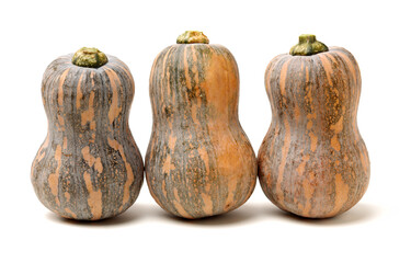 fresh butternut squash on white background 