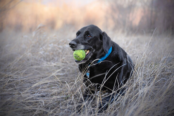 Holding Two Tennis Balls At Once