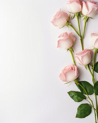 Soft Pink Roses on Clean White Background with Space for Text. Generative AI.
