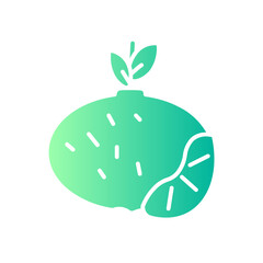 tangerine gradient icon