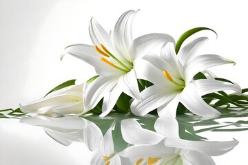 Fototapeta na wymiar easter lily flowers on white background 3d rendering