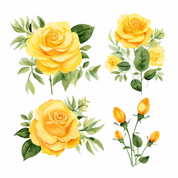 set of yellow roses