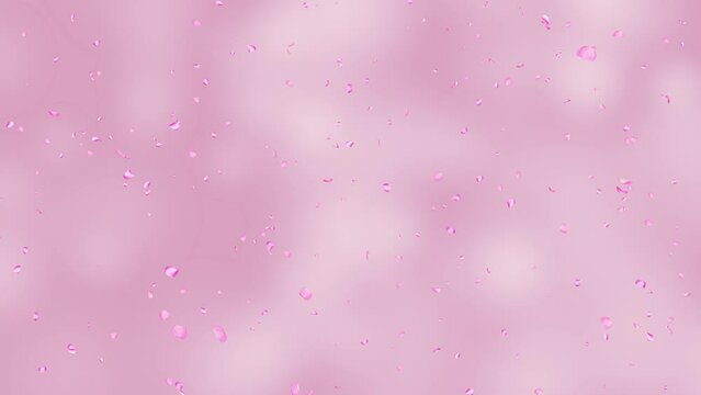 4K Rose Petals Falling realistic animation falling rose petals. You can replace background. Engagement, Marriage, Holiday, Beauty, Fashion, Romantic, Valentine, Music, Festival Bridal Memorial