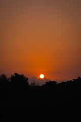 at sunrise over the trees. breaking dawn.