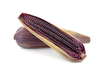 Purple corn isolated on white background