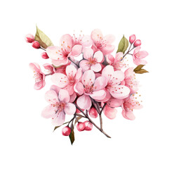 Set of cherry blossom flowers isolated on white background. watercolor illustration. Generated AI