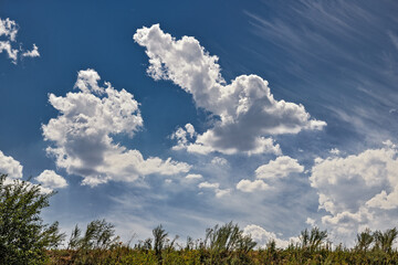 Obraz premium Cumulus clouds in the summer steppe against the blue sky.