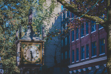 clock, steam clock, tree, city, tourists, building, flower, ocean, water, ship, wave, birds, peacock.