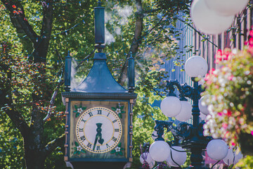 clock, steam clock, tree, city, tourists, building, flower, ocean, water, ship, wave, birds, peacock.