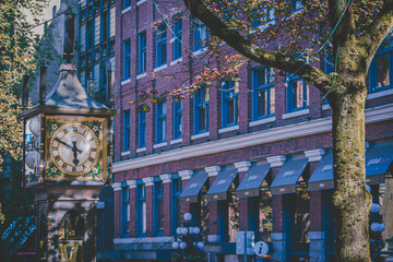clock, steam clock, tree, city, tourists, building, flower, ocean, water, ship, wave, birds, peacock.