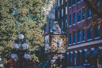 clock, steam clock, tree, city, tourists, building, flower, ocean, water, ship, wave, birds, peacock.