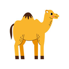 Vector picture of cute yellow camel isolated on white background.