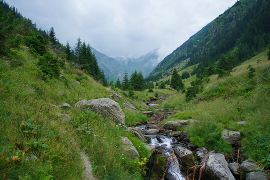 river in the mountains, Vistea Valley, Fagaras Mountains, Romania 