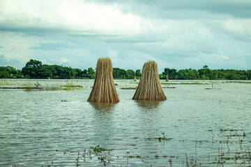 Best Natural landscape with jute stick. Jute is a bast fiber