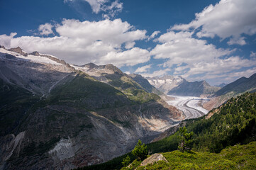 Landscape of glacier, mountain and forest. Aletsch Glacier in Switzerland. Travel destinations. Ice melting.