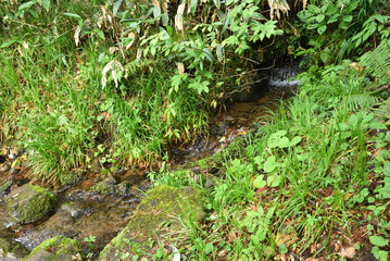 Obraz premium Mount. Hotaka, Kawaba, Gunma, Japan