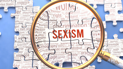 Sexism being closely examined along with multiple vital concepts and words directly related to Sexism. Many parts of a puzzle forming one, connected whole as a symbol of complexity,3d illustration