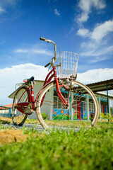 Old bicycle is being used as decoration at school.
