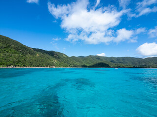 奄美大島の海