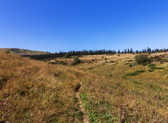 the beginning of autumn in the highlands, alpine meadows with dried vegetation, nature walks, and...