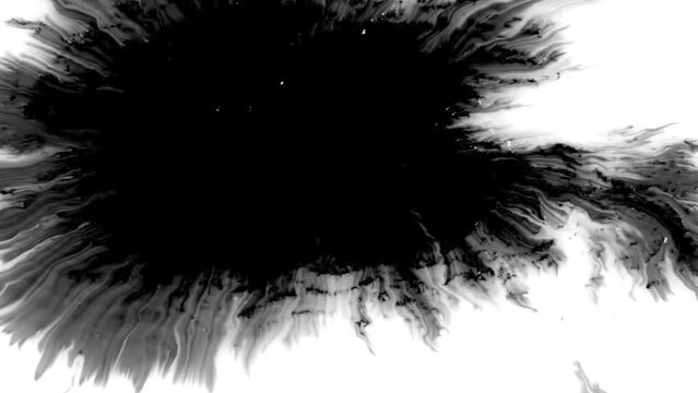 Abstract ink splatter transition in black and white seamless loop. Turbulent painting blot spreading from the center in this contemporary reveal 3D animation. 4K background, VFX overlay, alpha matte