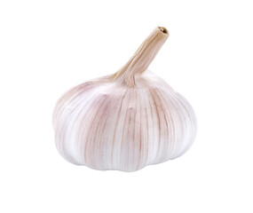 Garlic transparent png