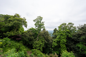 Fototapeta premium 高尾山の風景