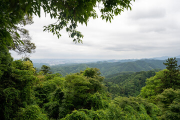 Fototapeta premium 高尾山の風景