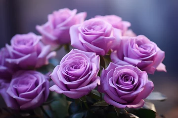 Fototapeten mehrere lila violet Rosen in Blütezeit. Querformat. Generative Ai. © Michael