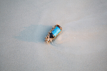 Energy drink glass bottle on sandy beach with shellfish