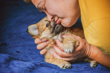 Best human friend. Illustration of pet lifestyle. Pieces of life little puppy, adoption animals concept.