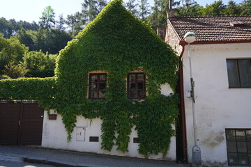 Fototapeta na wymiar View of the village Karlstein , Czech Republic