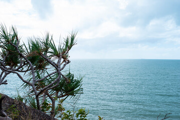 Port Douglas in tropical north Queensland