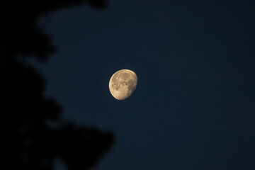 moon