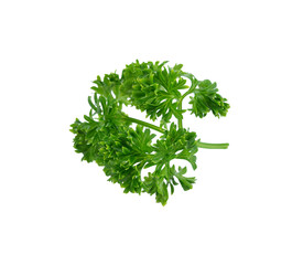 parsley transparent png