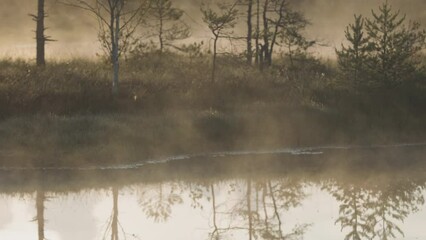 A cinematic slow motion video of swampland with mist moving across a pond with very calm water all backlit by the morning Sun