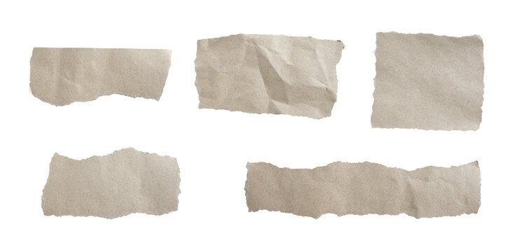 Set of grey torn paper pieces isolated on transparent background.