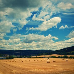 Beautiful countryside landscape. Hay bales in harvested fields.