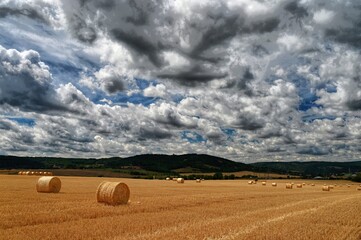 Hay bail harvesting in golden field landscape. Summer Farm Scenery with Haystack on the Background...