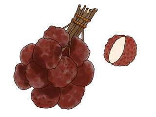 ライチのイラスト素材