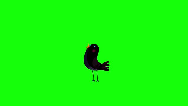 Nightingale back bird cartoon animation character singing green screen. Blinking eyes opening bill seamless loop behaviour.
