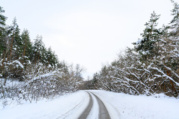 Obraz premium Snowy winter road in a mountain forest.